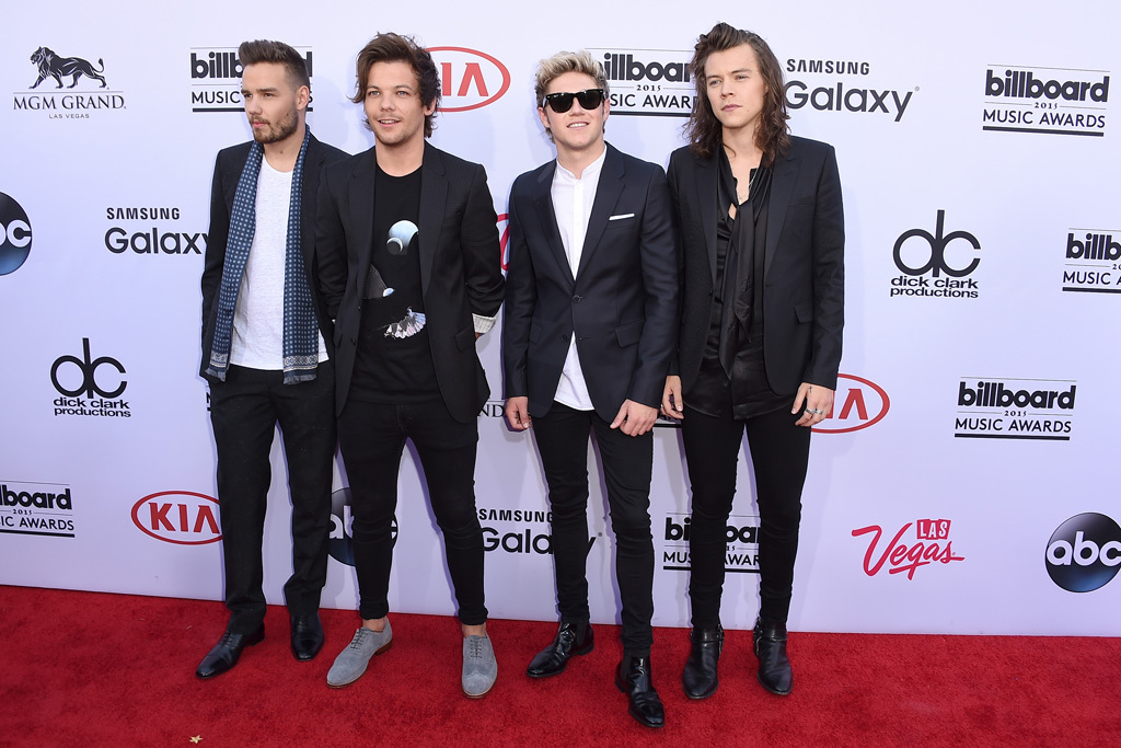 One Direction / Foto:  Steve Granitz / WireImage
